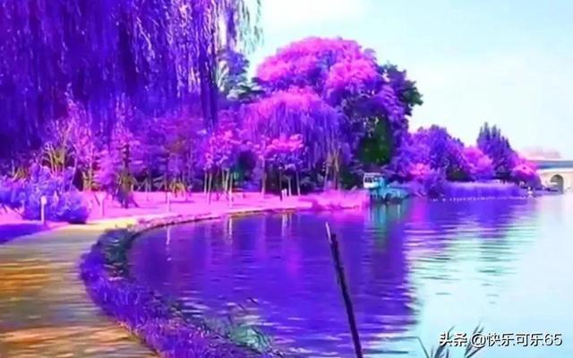 人的一生中有很多记忆,但是最美好最纯真最怀念的莫非《童年》! - 专业问答解答平台